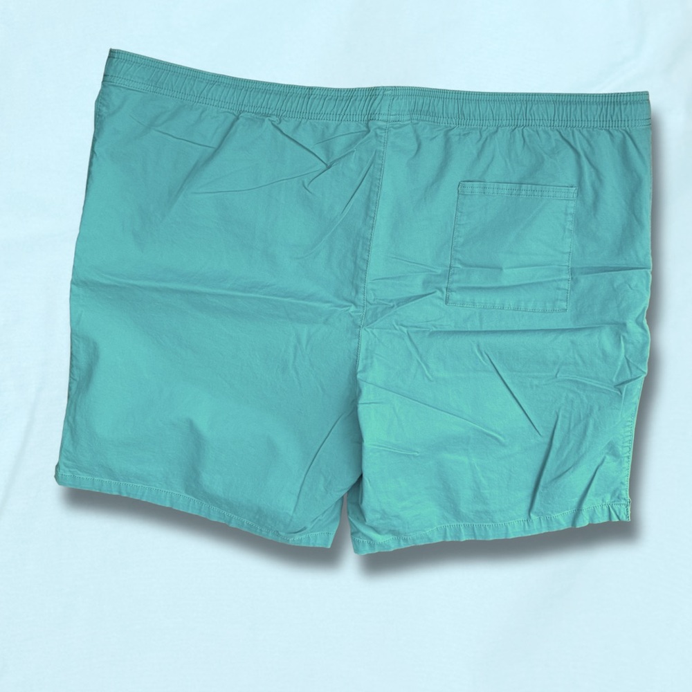 Goodfellow & Co Men's Aqua Shorts - Picture 3 of 4